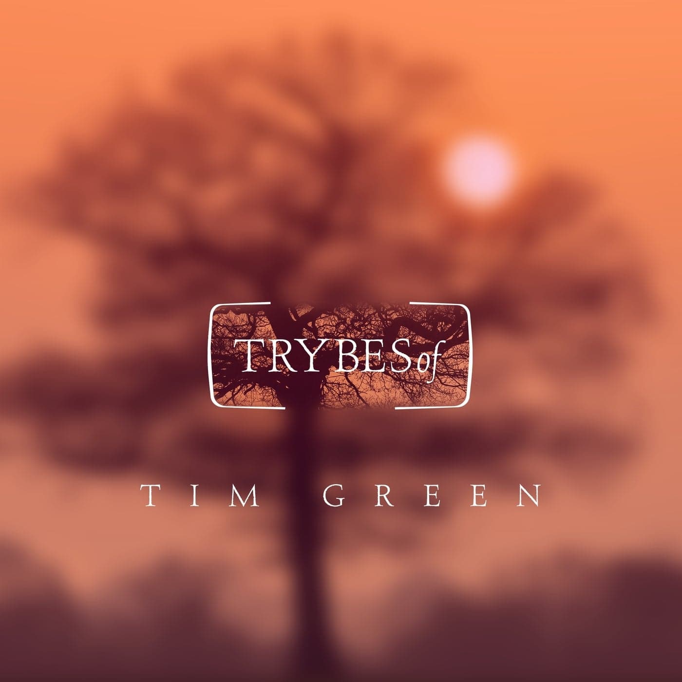 image cover: Tim Green - Pyxis EP / TRY037
