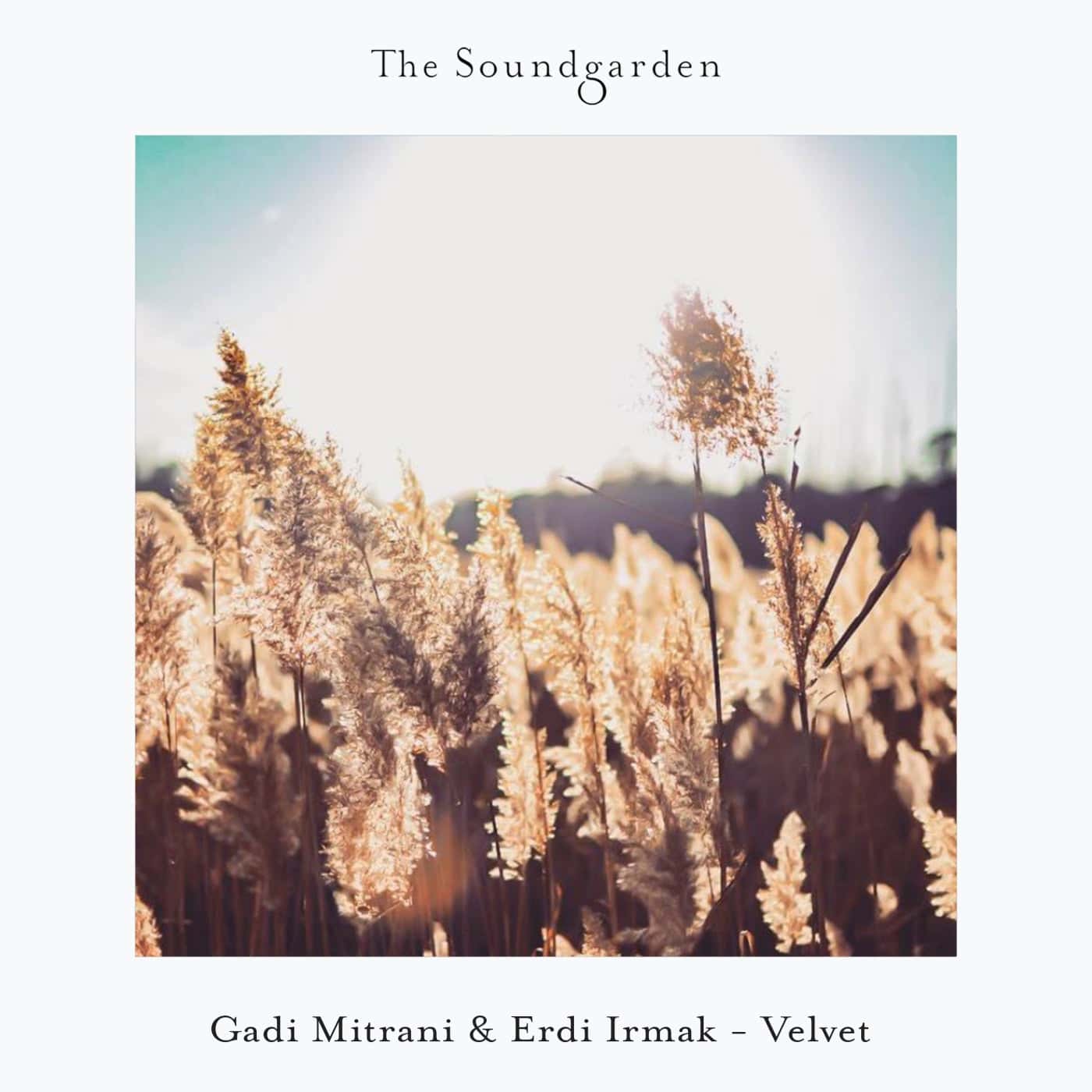 image cover: Gadi Mitrani, Erdi Irmak - Velvet [SG056] / The Soundgarden