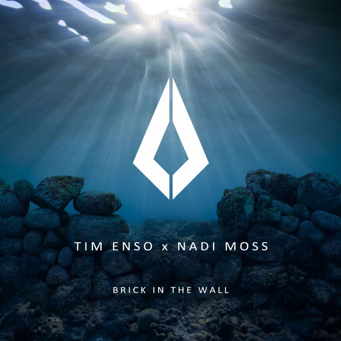 image cover: Tim Enso, Nadi Moss - Brick in the Wall / PF076