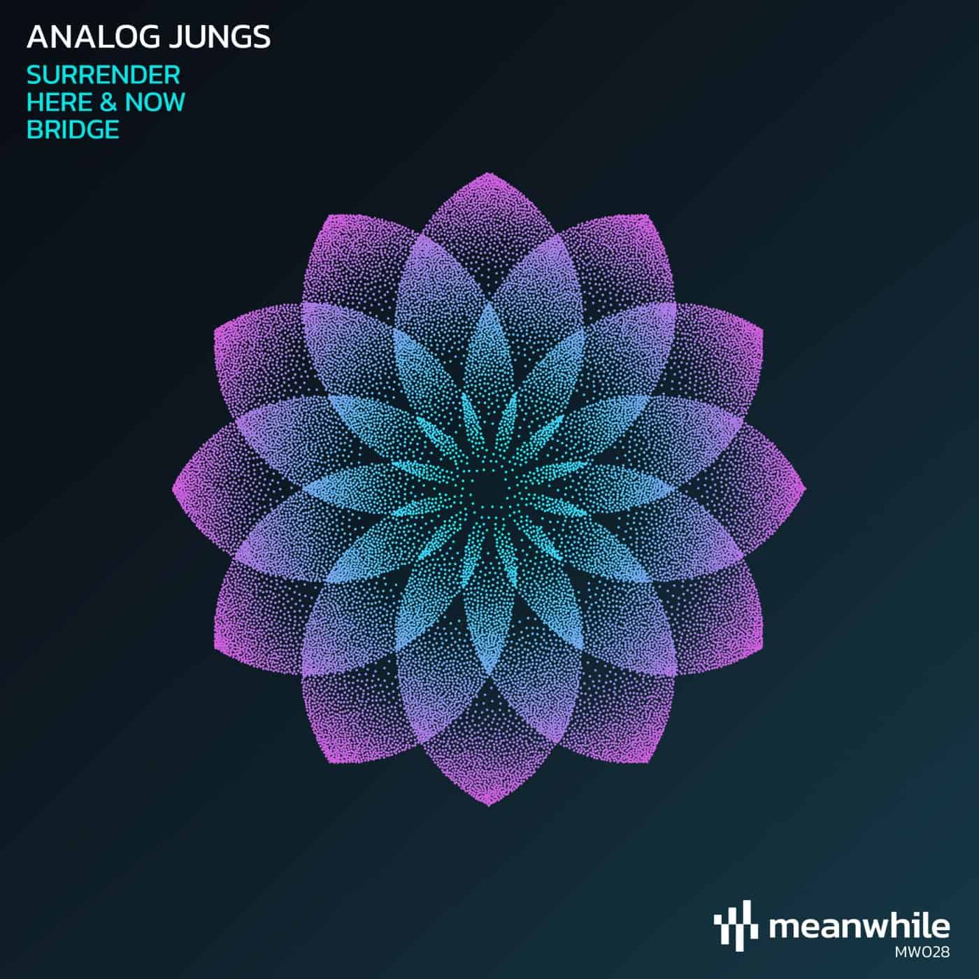 image cover: Analog Jungs - Surrender / MW028