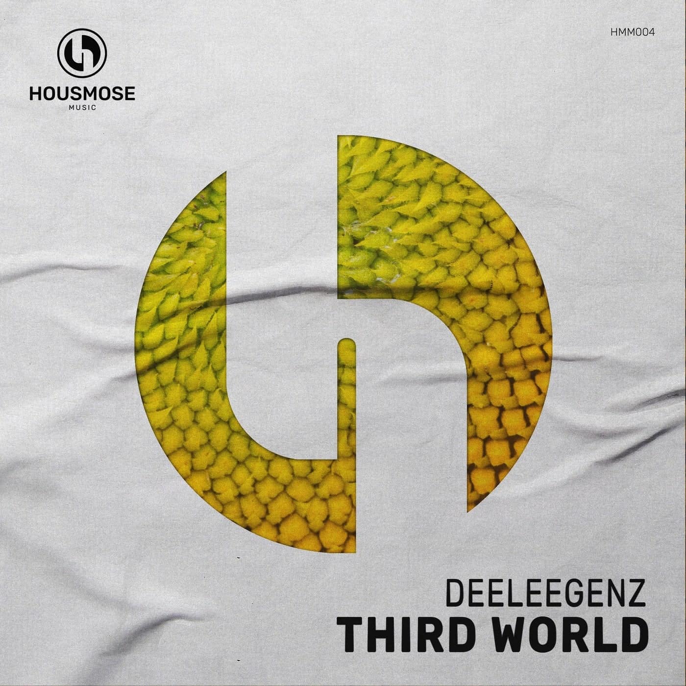 image cover: Deeleegenz - Third World / HMM004