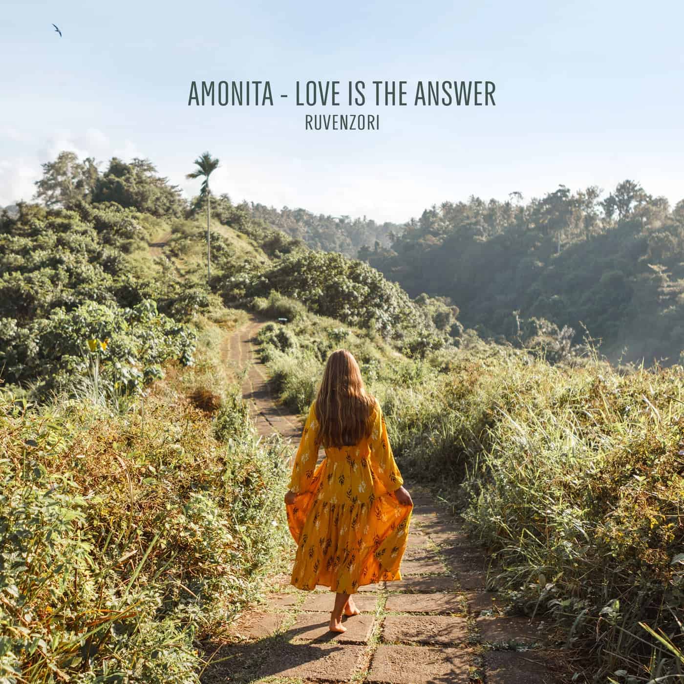 image cover: Amonita - Love Is The Answer / RVNZ12
