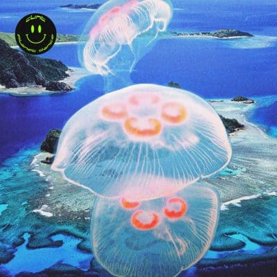 03 2022 346 917368 Clint - Planet Dance Vol. II /