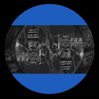03 2022 346 091193942 1FM - FormaFantasma / IARLTDT005