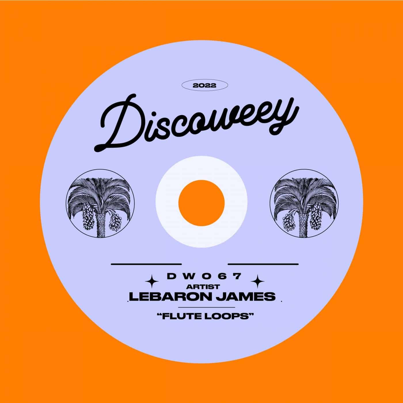 image cover: LeBaron James - DW067 / DW067