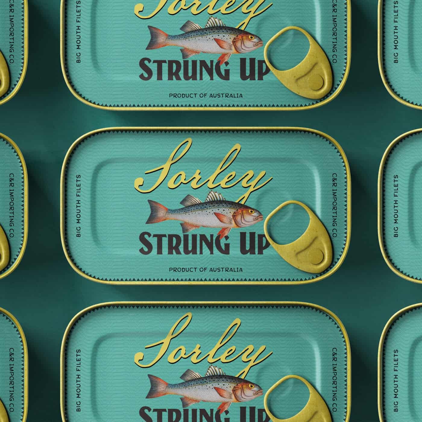 image cover: Sorley - Strung Up / CR016B