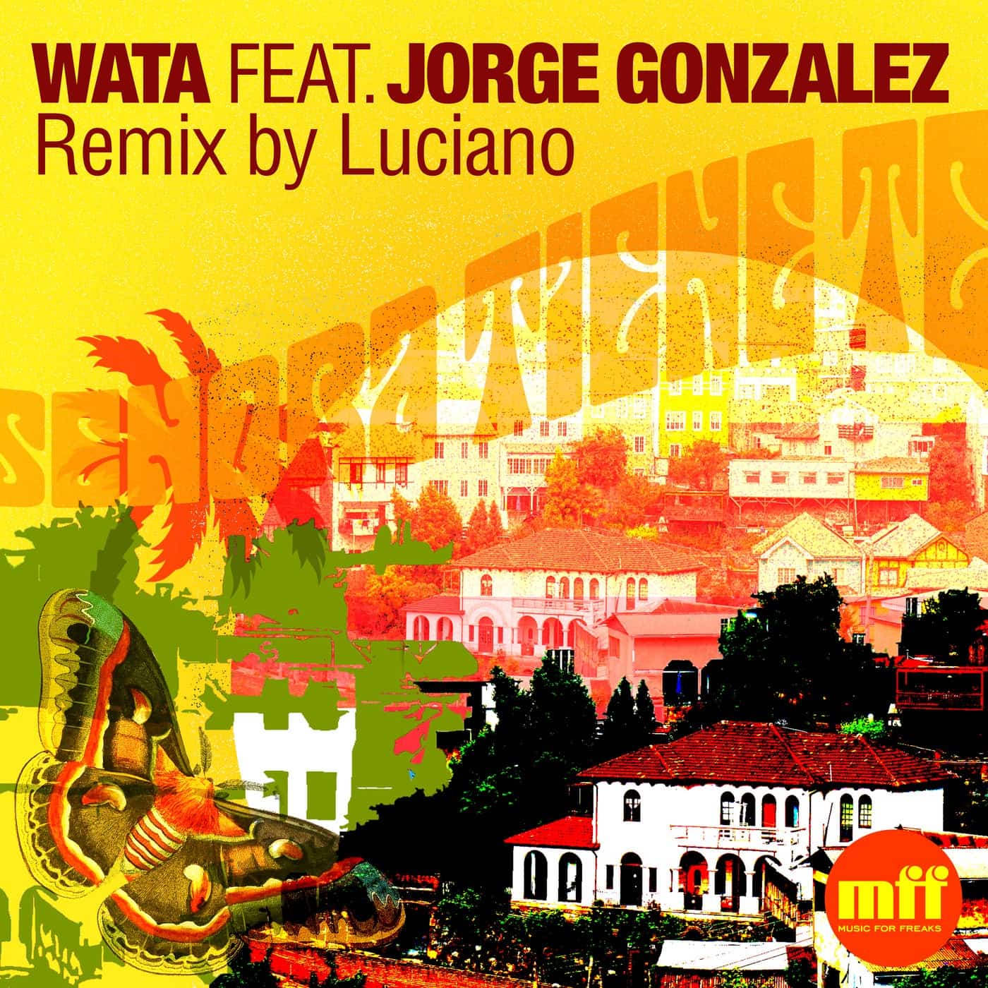 image cover: Jorge Gonzalez, WaTa - Senora Tiene Te / MFFD15042