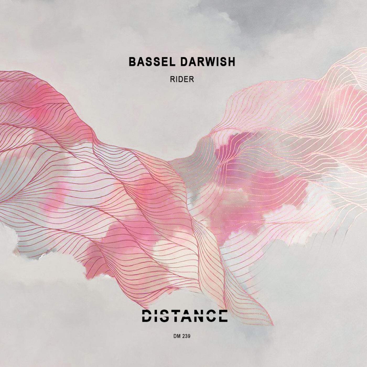 image cover: Bassel Darwish - Rider / DM239