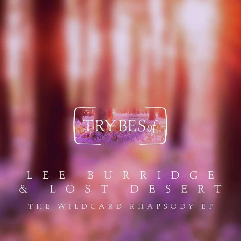image cover: Lee Burridge - The Wildcard Rhapsody EP /