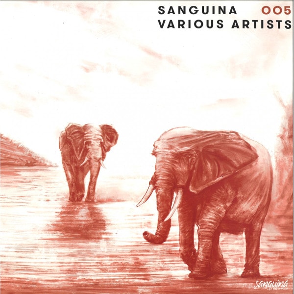 Download Sanguina 005 on Electrobuzz