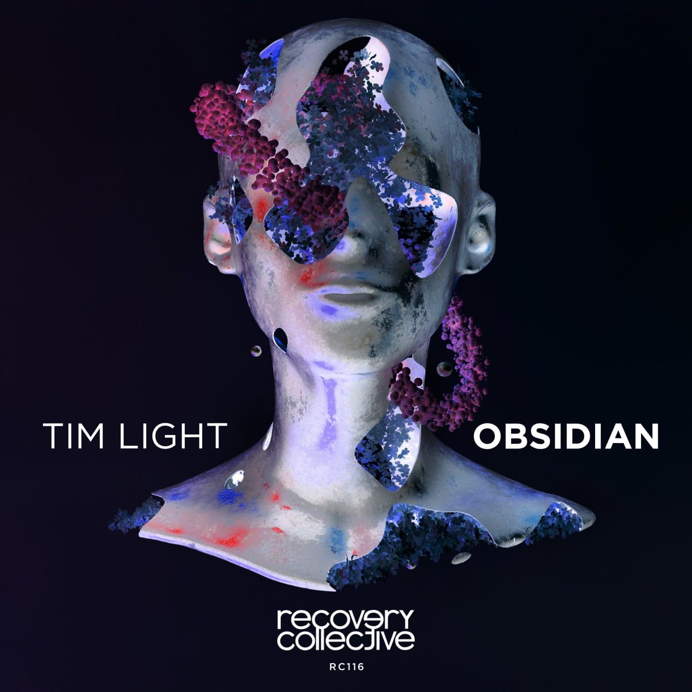 Download Obsidian on Electrobuzz