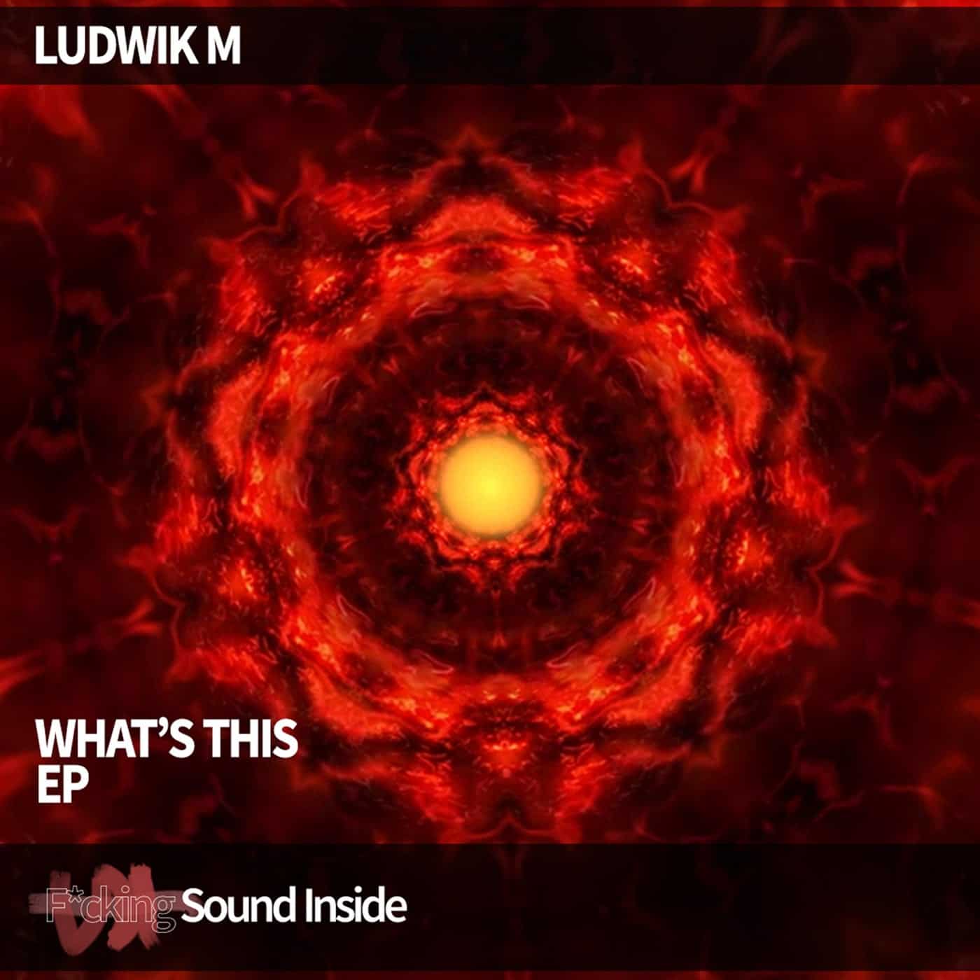 image cover: Ludwik M - WHAT'S THIS / 056