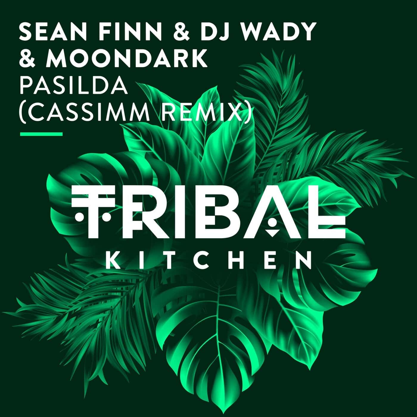 image cover: DJ Wady, Sean Finn, MoonDark - Pasilda (CASSIMM Remix) / TK163