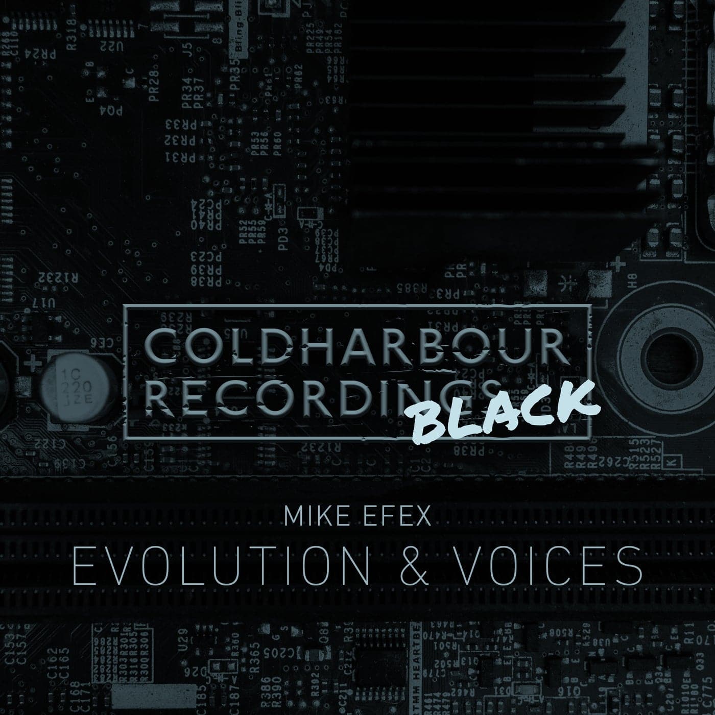 Download Evolution / Voices on Electrobuzz