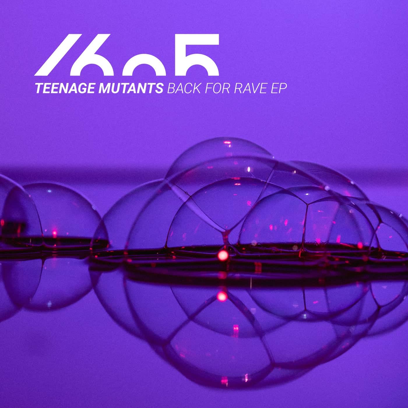 image cover: Teenage Mutants - Back For Rave EP / 1605276