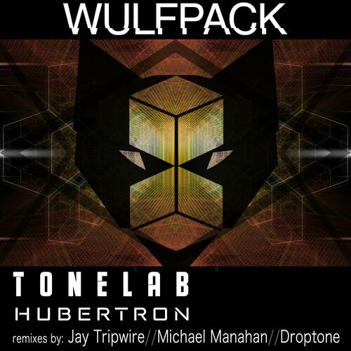 Download Hubertron on Electrobuzz