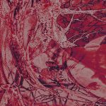 05 2022 346 091643432 Nao Nhil - Matrix of Confusion / DVNTTLP06