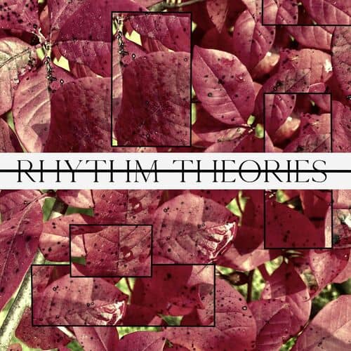 image cover: Rhythm Assembler - Rhythm Theories 002 / Methodical