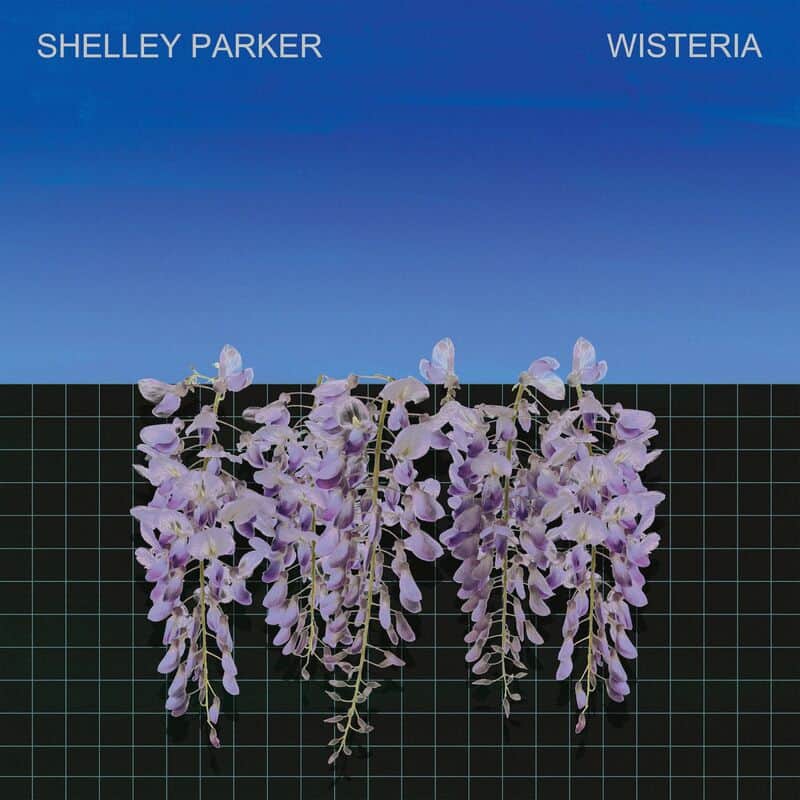 image cover: Shelley Parker - Wisteria / Hypercolour