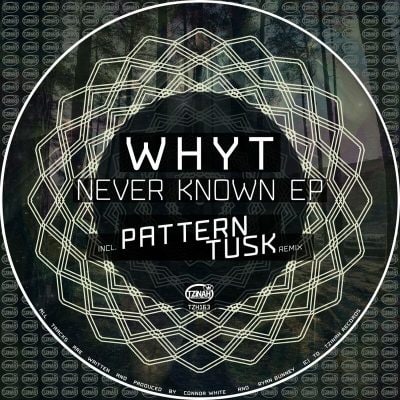 05 2022 346 181077 WhyT - Never Known EP / Tzinah Records