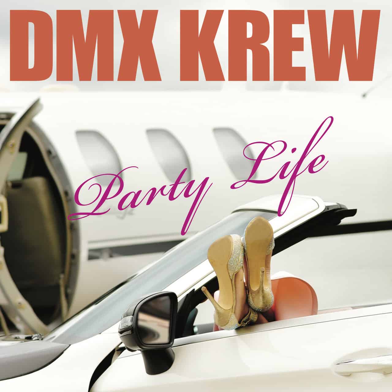 image cover: Dmx Krew - Party Life / Permanent Vacation