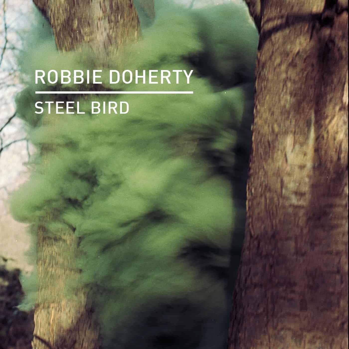 image cover: Robbie Doherty - Steel Bird / KD145