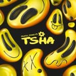 05 2022 346 284318 TSHA - fabric presents TSHA (Mixed) / fabric Records