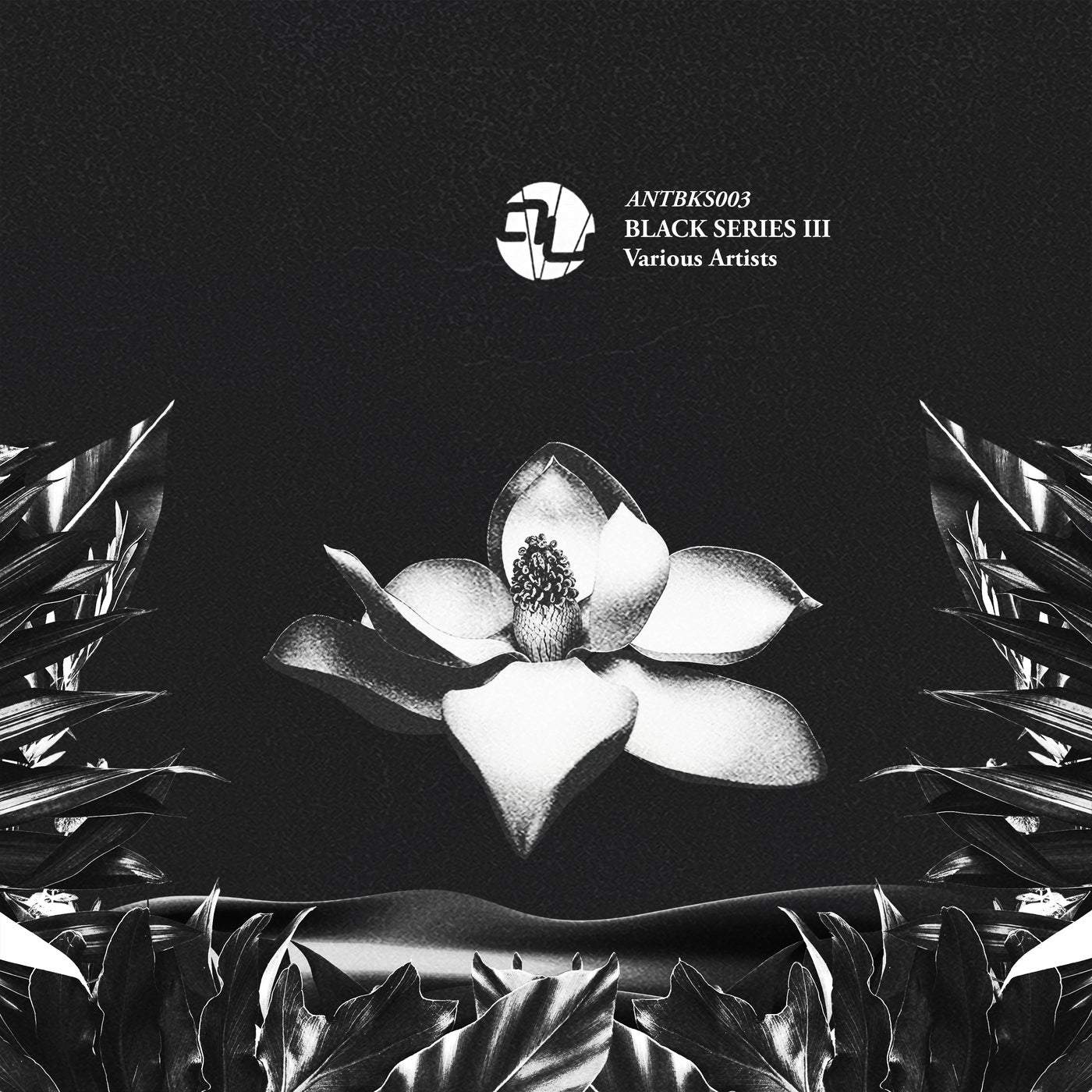 image cover: Drumsauw, Lerio Corrado, Beck And Rius - Black Series III / ANTBKS003