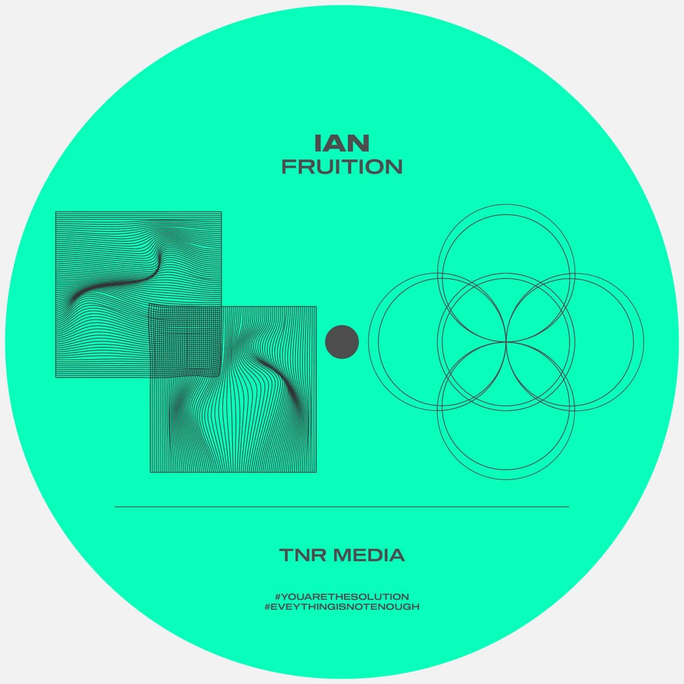 image cover: IAN - FRUITION / TNR036