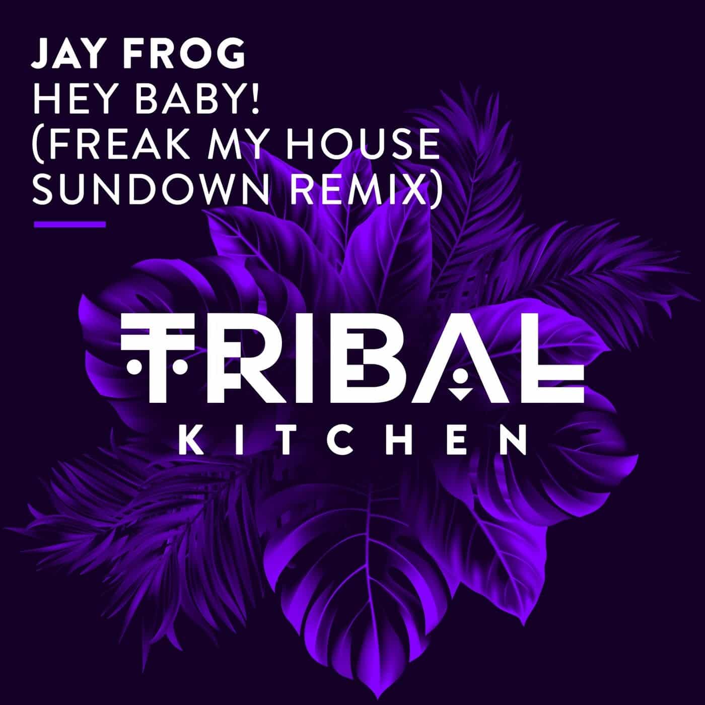 image cover: Jay Frog - Hey Baby! (Freak My House Sundown Remix) / TK178