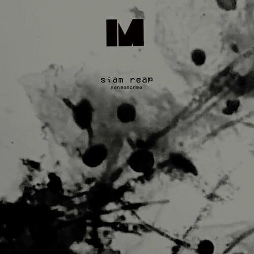image cover: Siam Reap - Mangamonga / Morforecs