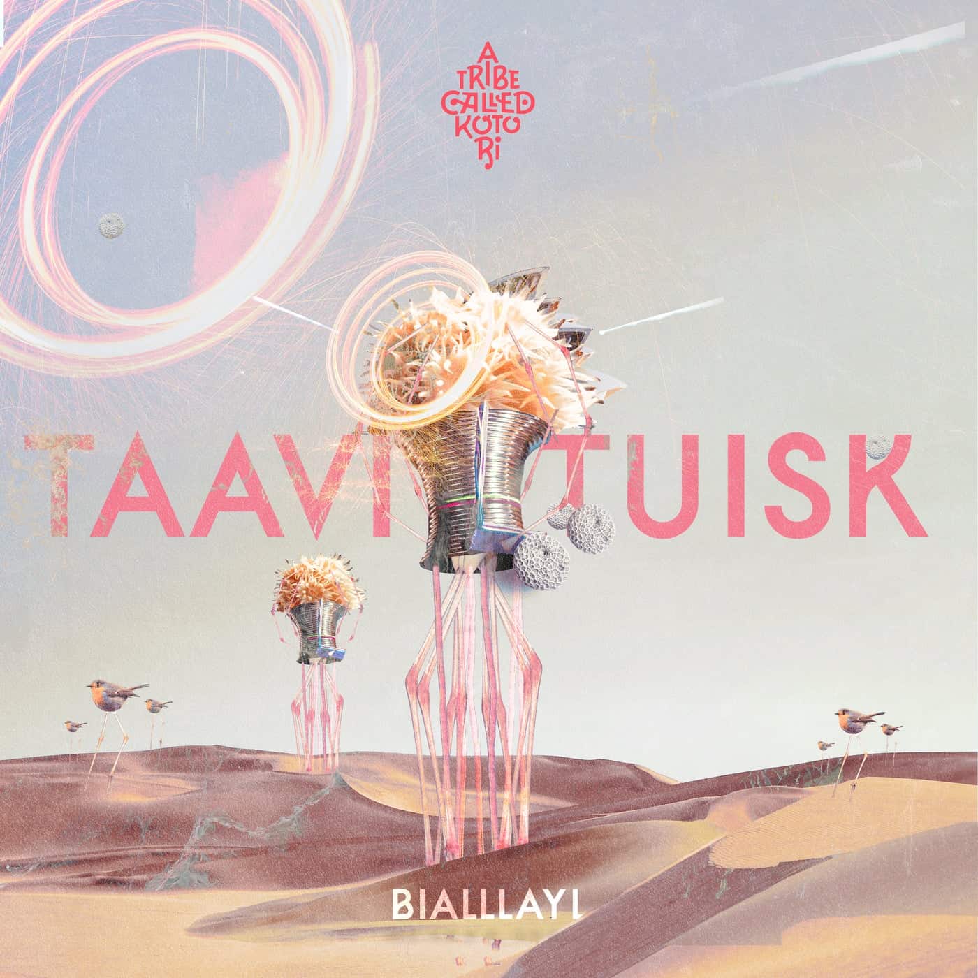 image cover: Taavi Tuisk - Bialllayl / ATCK031