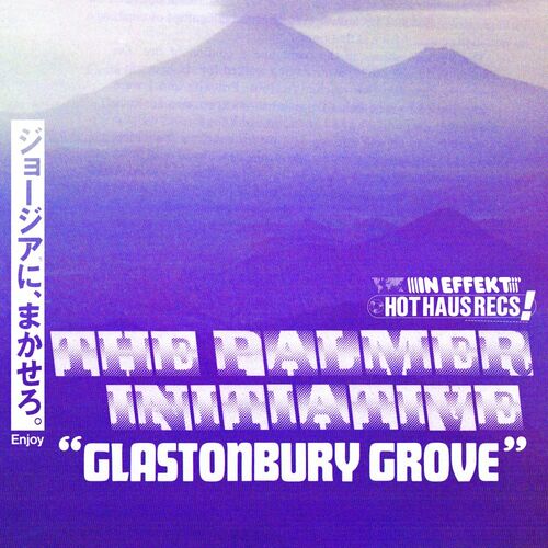 image cover: The Palmer Initiative - Glastonbury Grove / Hot Haus Recs