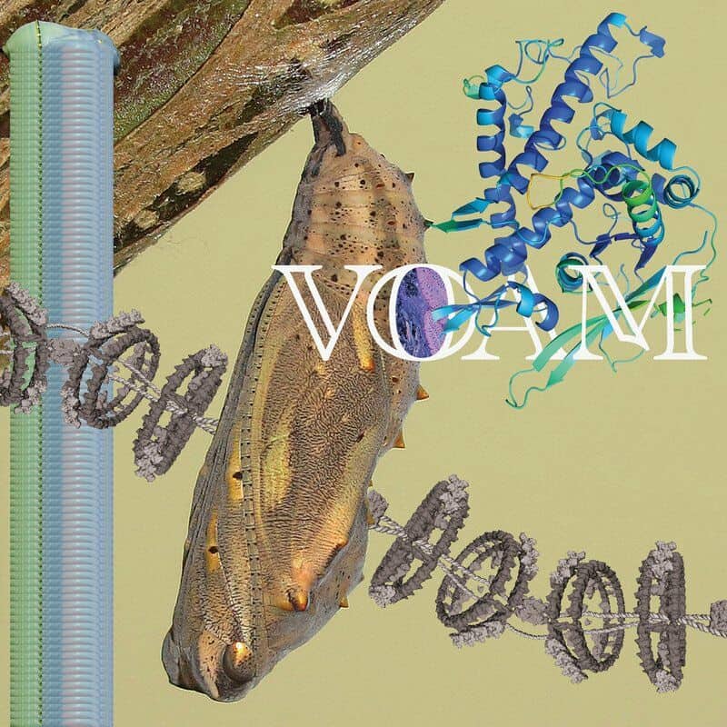 image cover: Pariah - Caterpillar / Voam