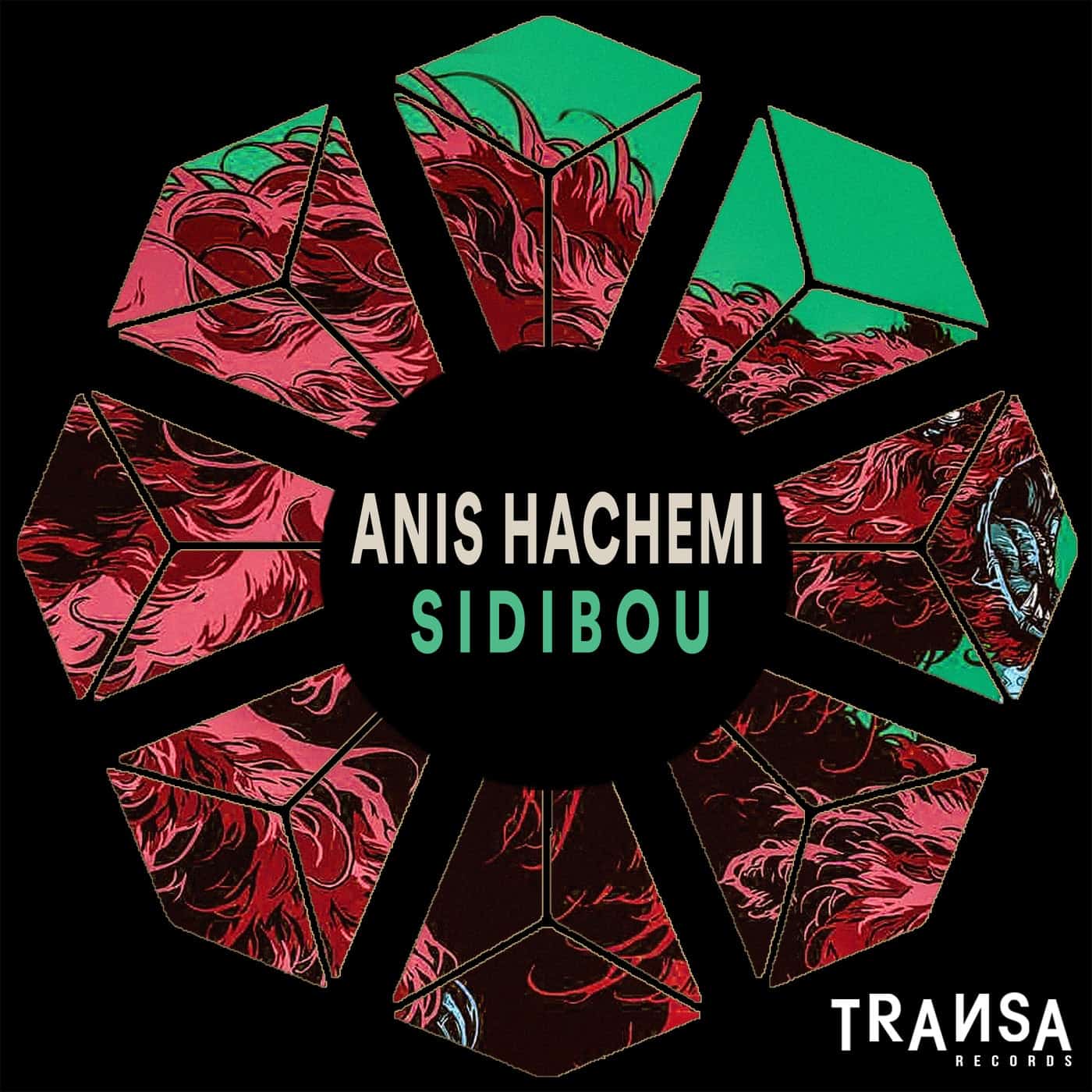 image cover: Anis hachemi - Sidibou / TRANSA379