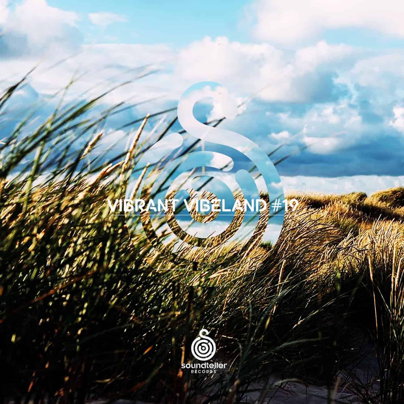 image cover: VA - Vibrant Vibeland #19 / ST345