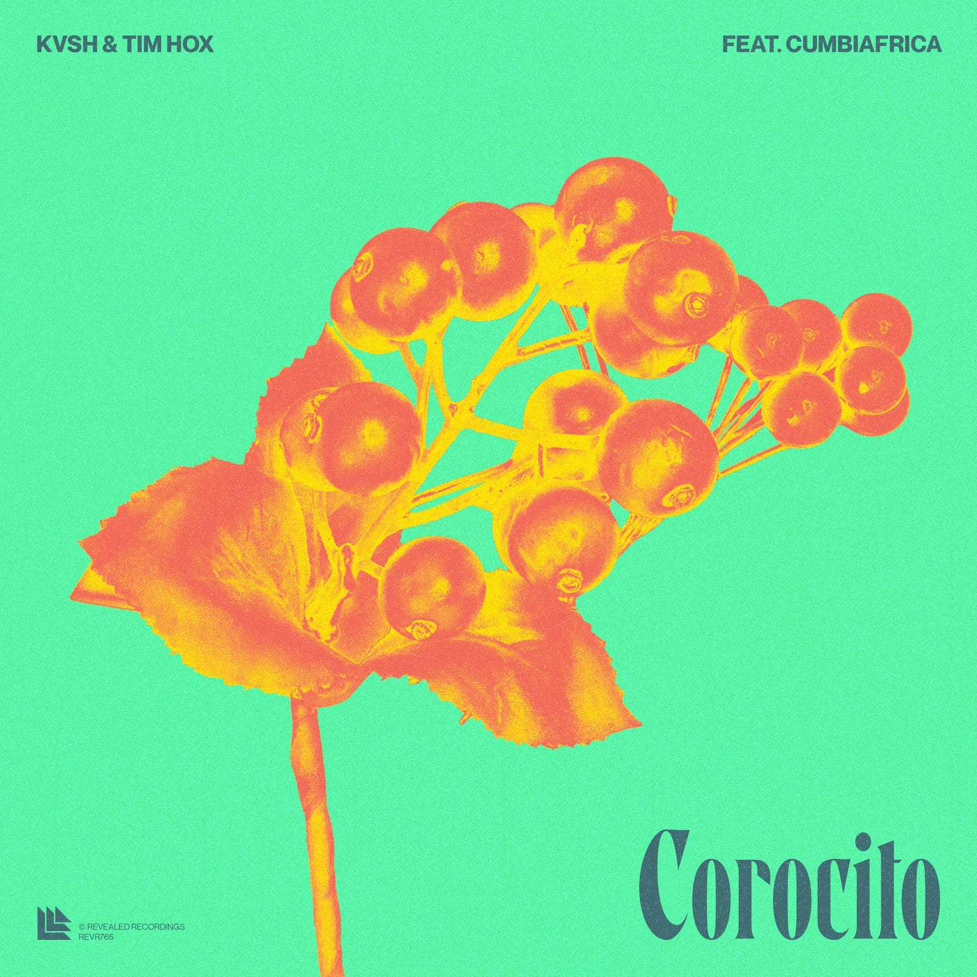 Download KVSH, Tim Hox, Cumbiafrica - Corocito