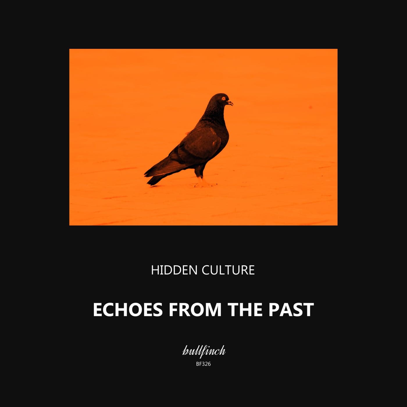 image cover: Hidden Culture - Echoes From the Past / BF326