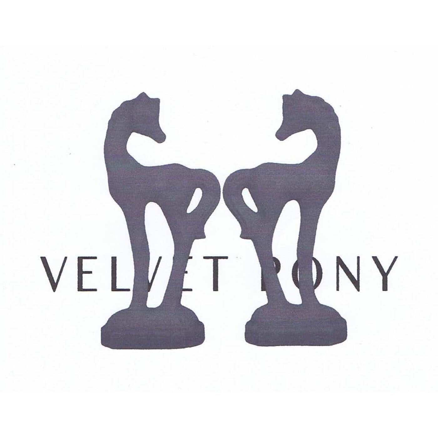 image cover: VA - Velvet Pony Trax 9 / VPT9