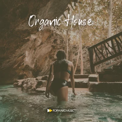 255986f2 0627 47c6 aa1f da738c1e20ec VA - Organic House #01