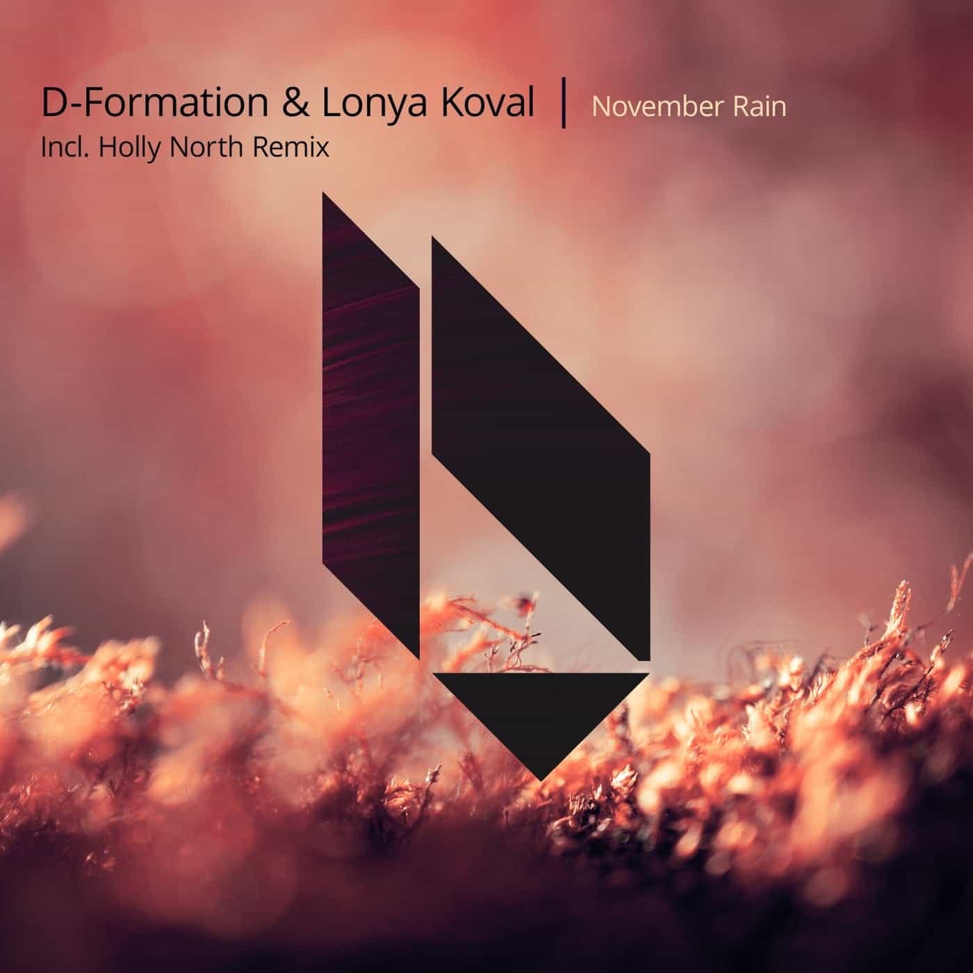 image cover: D-Formation, Lonya - November Rain / BF321