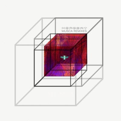 07 2022 346 091148074 Herbert, Floating Points, Verushka, Seven Davis Jr, Allie Armstrong, Mr. Mitch, Joy Morgan, Moire, Bianca Rose - Musca - Remixes / AC181D