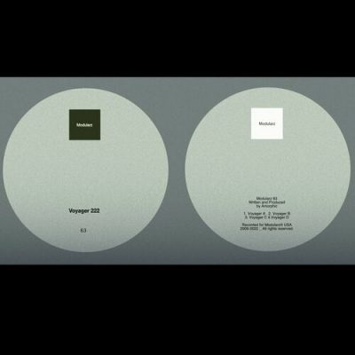 07 2022 346 09116077 Amorphic - Voyager 222
