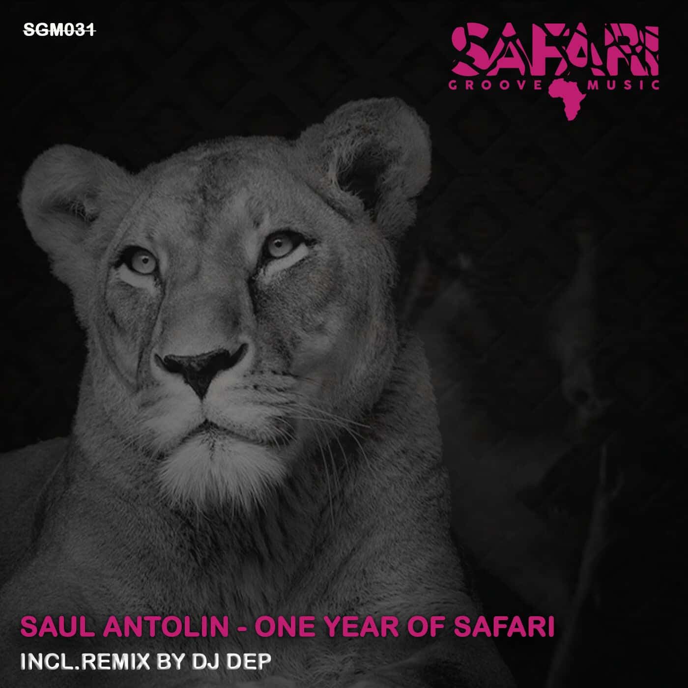 image cover: Saul Antolin - One Year of Safari / SGM031