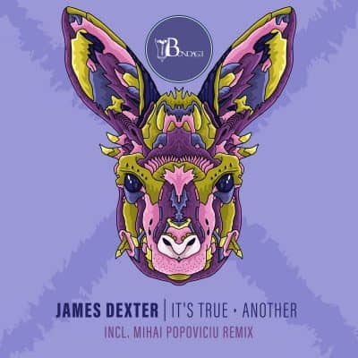 07 2022 346 091234289 James Dexter - It's True / Another / BONDDIGI065