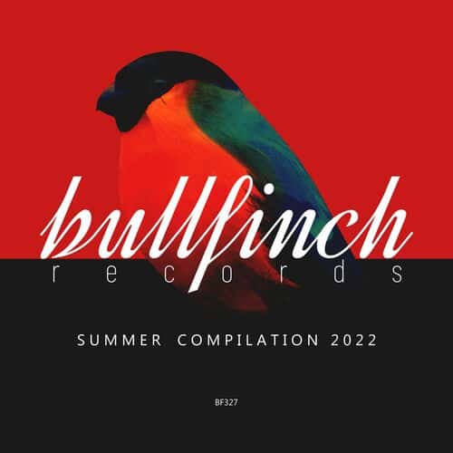 image cover: Geoffroy Laventure - Bullfinch Summer 2022 Compilation