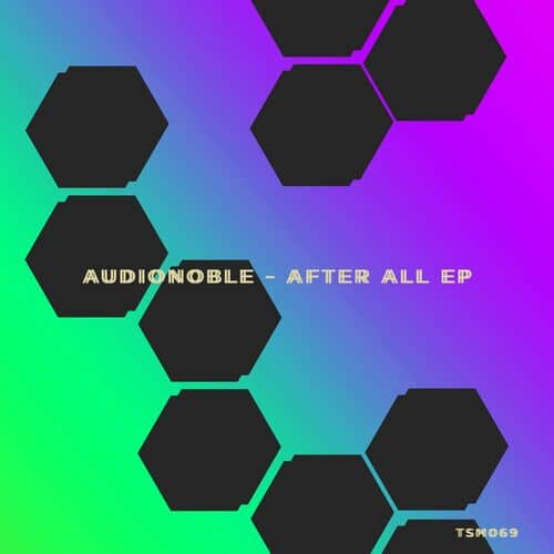 image cover: Audionoble - After All EP /