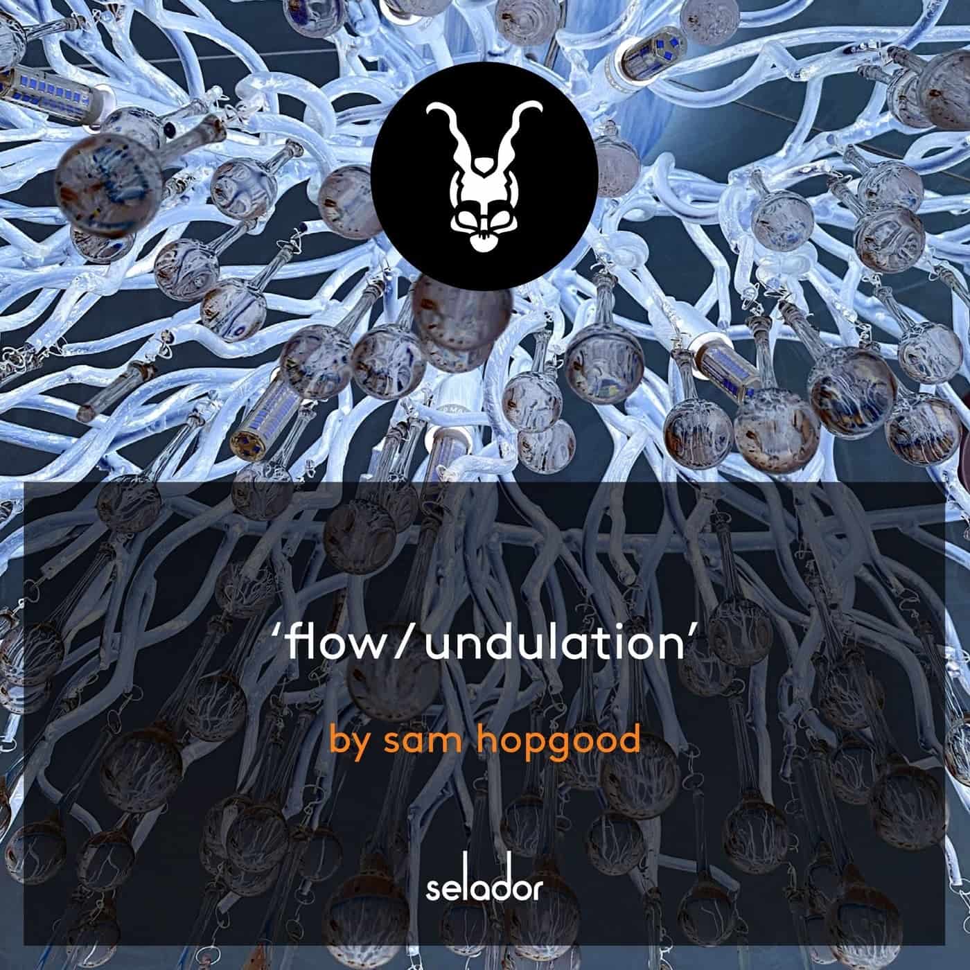 image cover: Sam Hopgood - Flow / Undulation / SEL155