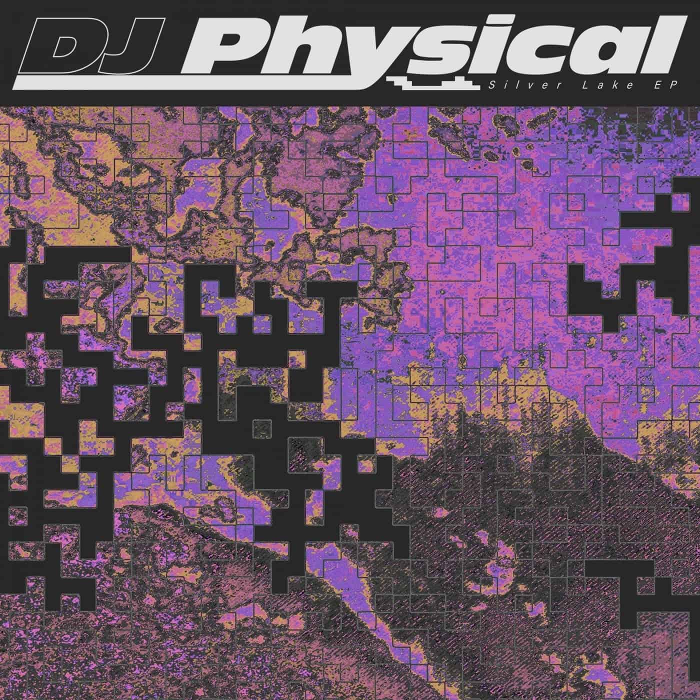 image cover: DJ Physical - Silver Lake / PALMSLP003