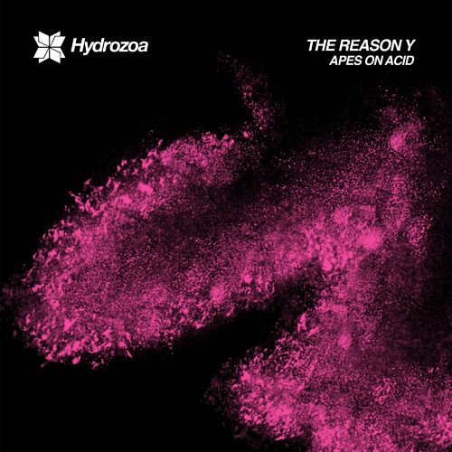 image cover: The Reason Y - Apes On Acid